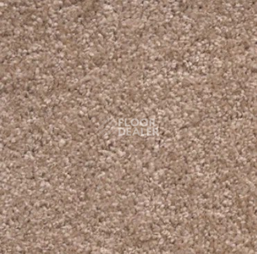 Ковролин AW Florida 34 фото 1 | FLOORDEALER